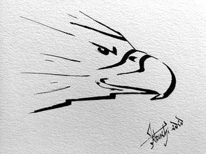 Artistic Ink Drawing, Raptor Head, Falcon - by Kader KLOUCHI Painter Sculptor