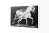 Canvas Acrylic Painting with a knife, Thoroughbred Black and White Painting - by Kader KLOUCHI Painter Sculptor