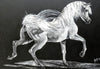 Canvas Acrylic Painting with a knife, Thoroughbred Black and White - by Kader KLOUCHI Painter Sculptor