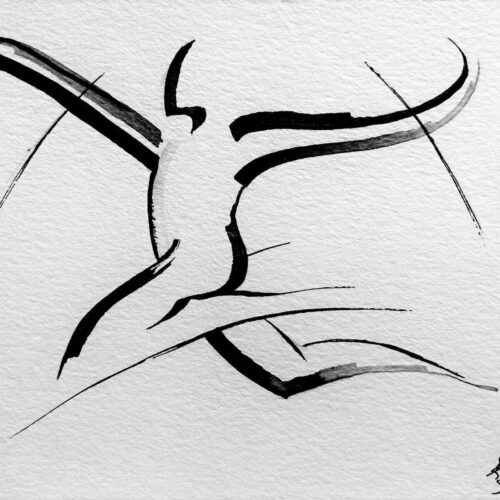 Dessin Encre Artistique à la plume, Sauteur en longueur en phase d'envol Athlétisme, Envol - Saut en Longueur - par Kader KLOUCHI Artiste Peintre Sculpteur