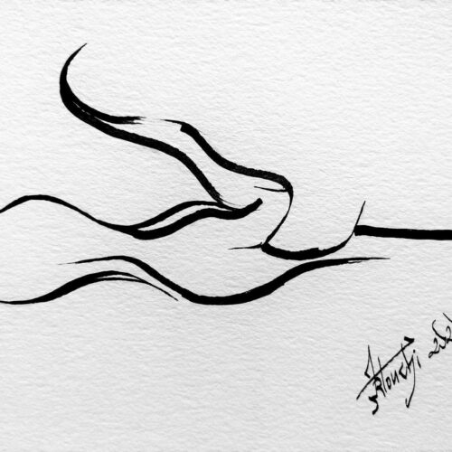 Dessin Encre Artistique à la plume, Nageur en Crawl, Natation - par Kader KLOUCHI Artiste Peintre Sculpteur